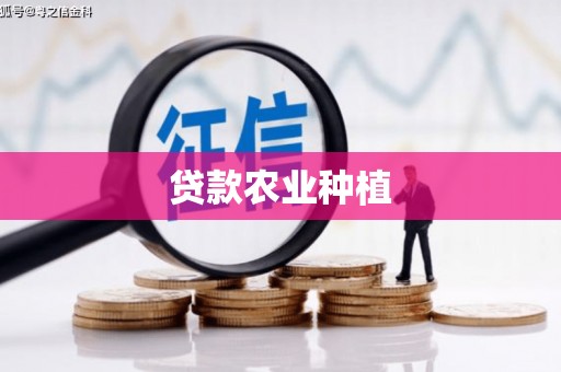 雨山贷款农业种植