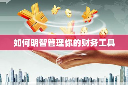 雨山如何明智管理你的财务工具