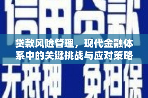 雨山贷款风险管理，现代金融体系中的关键挑战与应对策略