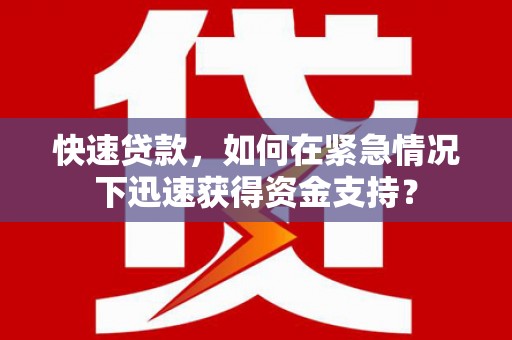 雨山快速贷款，如何在紧急情况下迅速获得资金支持？
