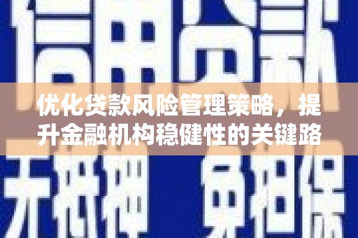雨山优化贷款风险管理策略，提升金融机构稳健性的关键路径
