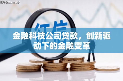 雨山金融科技公司贷款，创新驱动下的金融变革