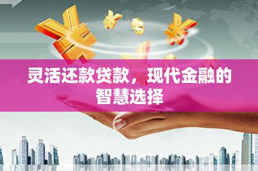 雨山灵活还款贷款，现代金融的智慧选择