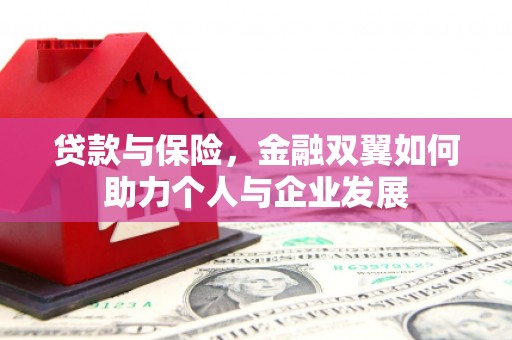 雨山贷款与保险，金融双翼如何助力个人与企业发展