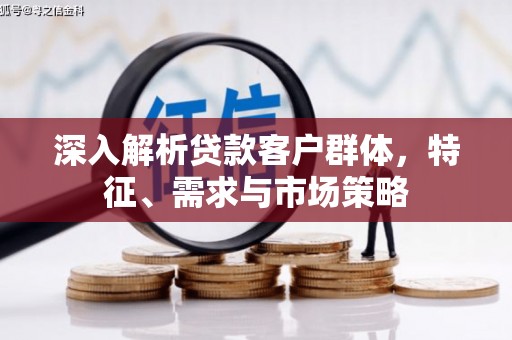 雨山深入解析贷款客户群体，特征、需求与市场策略