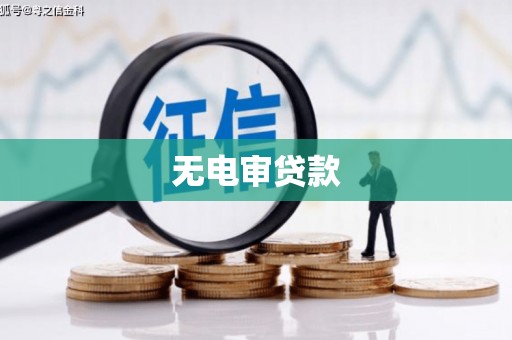 雨山无电审贷款