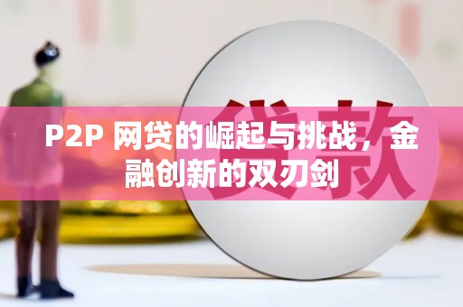 雨山P2P 网贷的崛起与挑战，金融创新的双刃剑