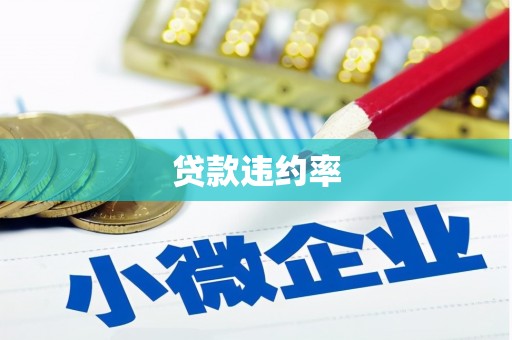 雨山贷款违约率