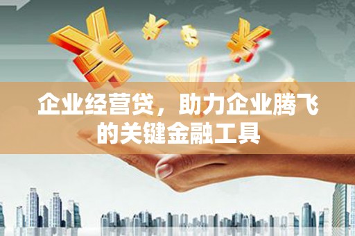 雨山企业经营贷，助力企业腾飞的关键金融工具