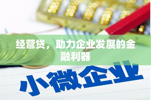 雨山经营贷，助力企业发展的金融利器