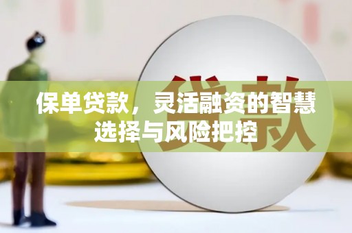 雨山保单贷款，灵活融资的智慧选择与风险把控