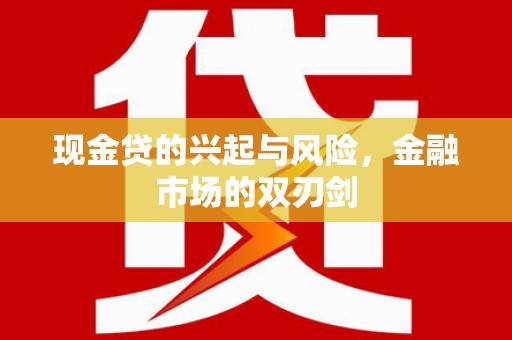 雨山现金贷的兴起与风险，金融市场的双刃剑