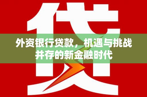 雨山外资银行贷款，机遇与挑战并存的新金融时代