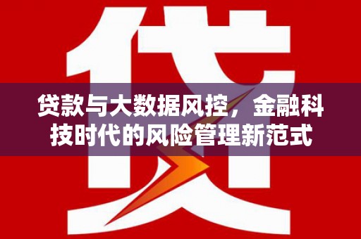 雨山贷款与大数据风控，金融科技时代的风险管理新范式