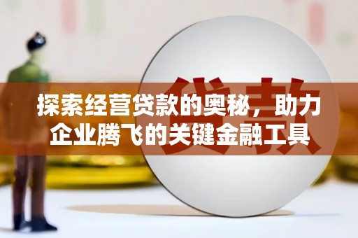 雨山探索经营贷款的奥秘，助力企业腾飞的关键金融工具