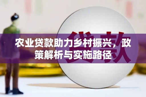 雨山农业贷款助力乡村振兴，政策解析与实施路径