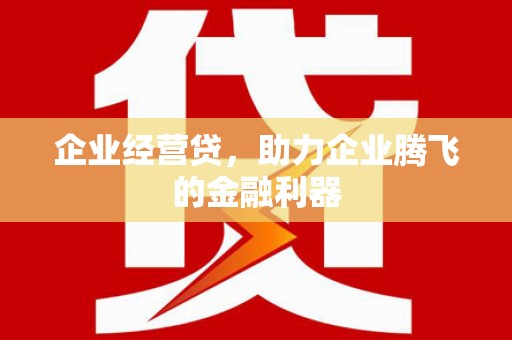 雨山企业经营贷，助力企业腾飞的金融利器