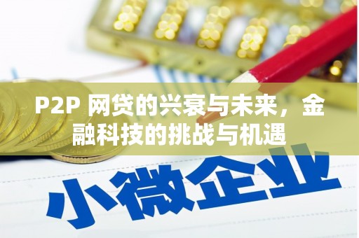 雨山P2P 网贷的兴衰与未来，金融科技的挑战与机遇