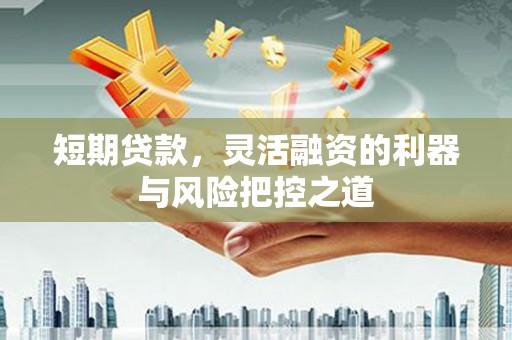 雨山短期贷款，灵活融资的利器与风险把控之道