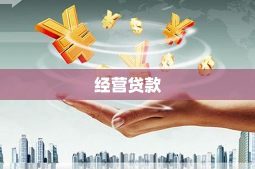 雨山经营贷款