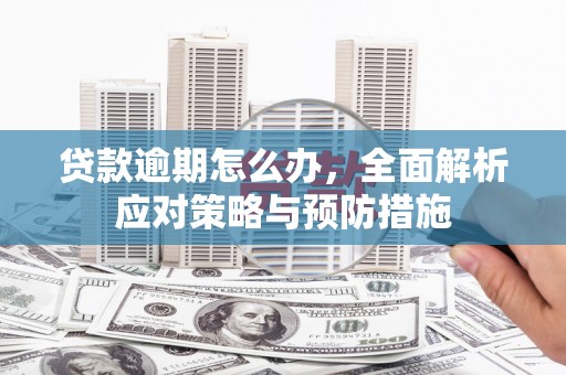 雨山贷款逾期怎么办，全面解析应对策略与预防措施