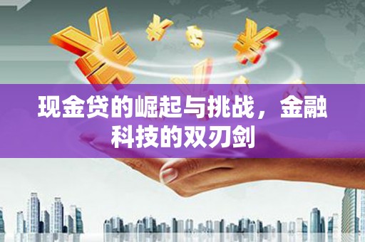 雨山现金贷的崛起与挑战，金融科技的双刃剑