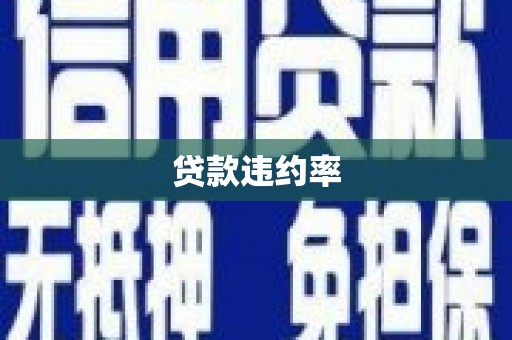 雨山贷款违约率