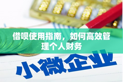 雨山借呗使用指南，如何高效管理个人财务