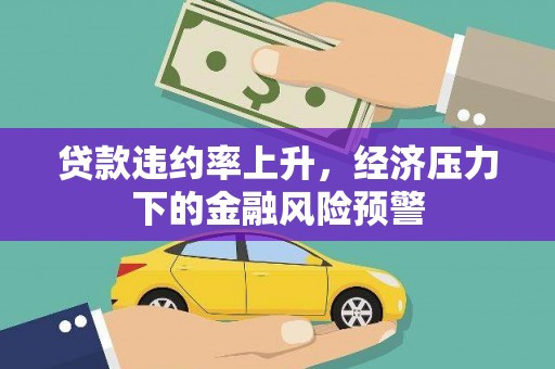 雨山贷款违约率上升，经济压力下的金融风险预警
