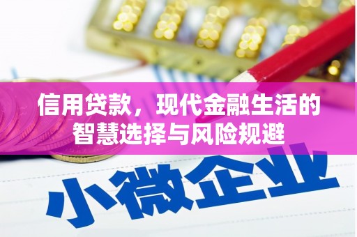 雨山信用贷款，现代金融生活的智慧选择与风险规避