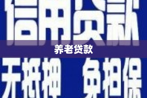 雨山养老贷款
