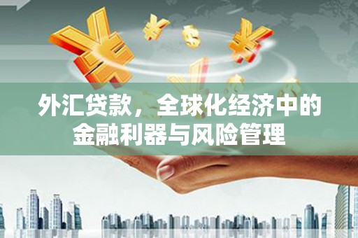 雨山外汇贷款，全球化经济中的金融利器与风险管理