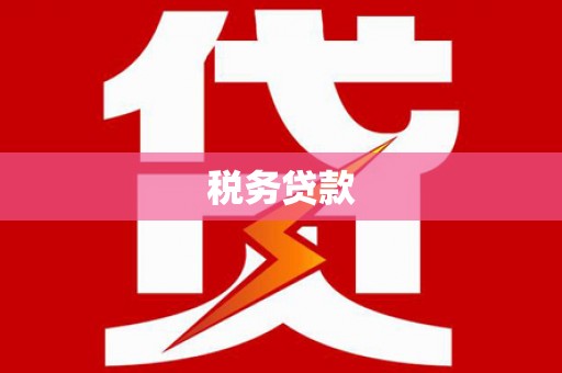 雨山税务贷款