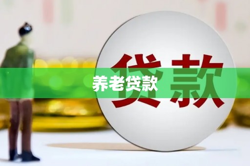 雨山养老贷款