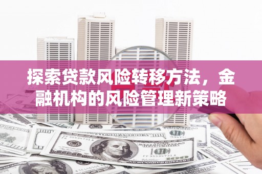 雨山探索贷款风险转移方法，金融机构的风险管理新策略