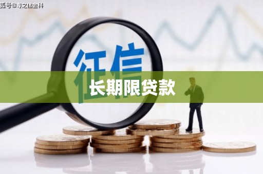雨山长期限贷款