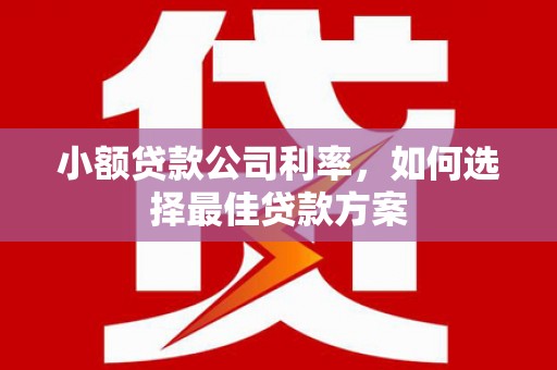 雨山小额贷款公司利率，如何选择最佳贷款方案