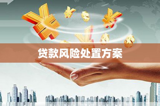 雨山贷款风险处置方案