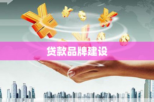 雨山贷款品牌建设