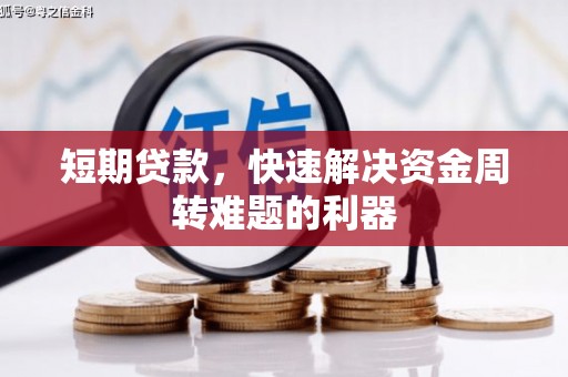 雨山短期贷款，快速解决资金周转难题的利器