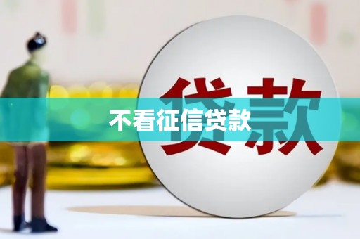 雨山不看征信贷款