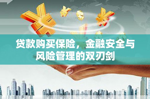 雨山贷款购买保险，金融安全与风险管理的双刃剑