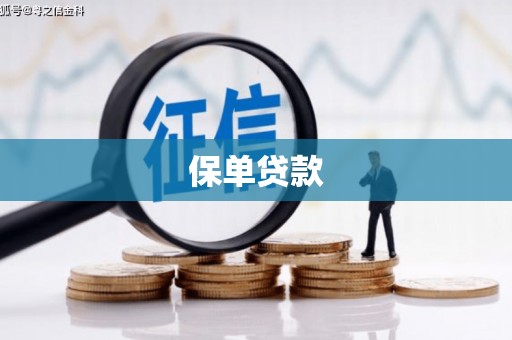 雨山保单贷款