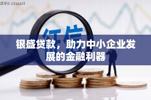 雨山银盛贷款，助力中小企业发展的金融利器