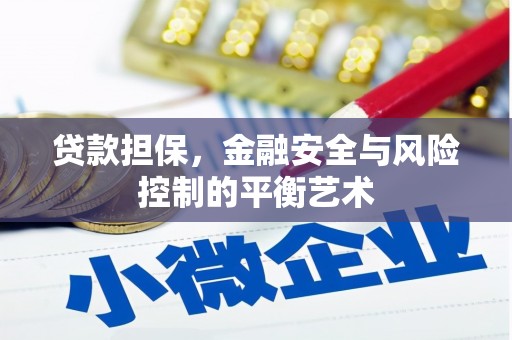 雨山贷款担保，金融安全与风险控制的平衡艺术