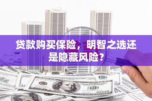 雨山贷款购买保险，明智之选还是隐藏风险？
