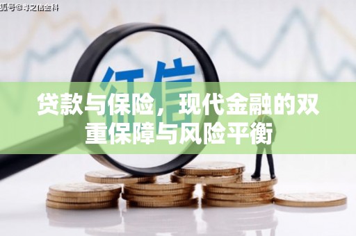 雨山贷款与保险，现代金融的双重保障与风险平衡