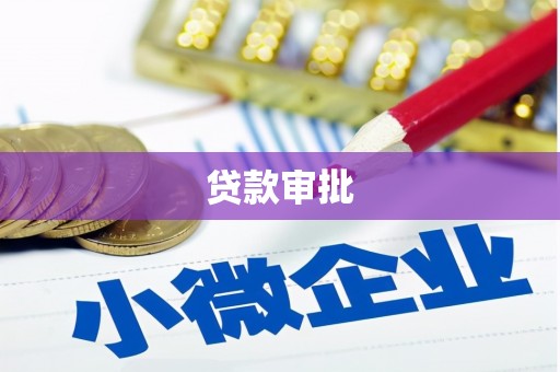 雨山贷款审批