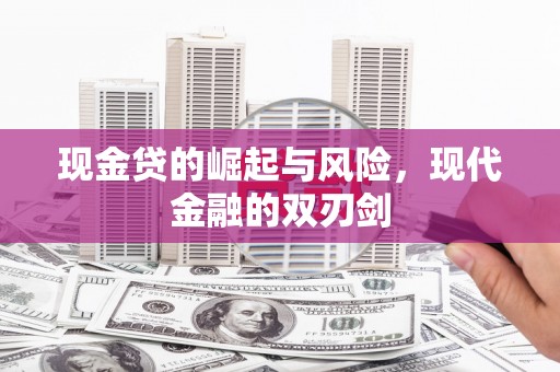 雨山现金贷的崛起与风险，现代金融的双刃剑