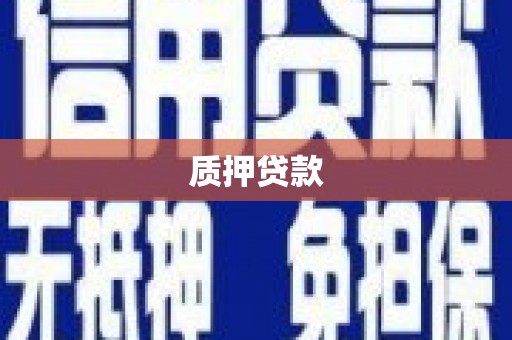 雨山质押贷款
